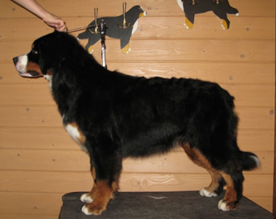 8m 2