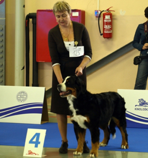 evropa 2010