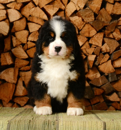 7 weeks 1