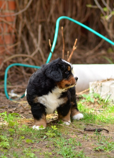 6 weeks 9