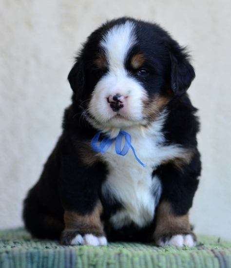 4 weeks 3