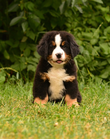 8 weeks 2