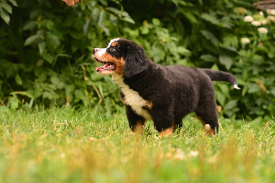 8 weeks 4