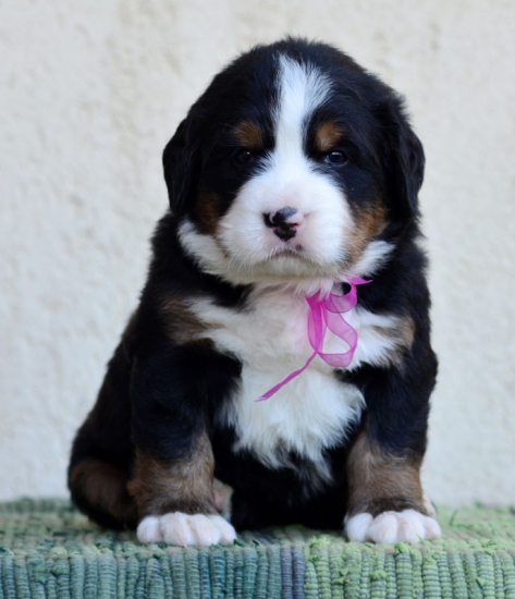 4 weeks 2