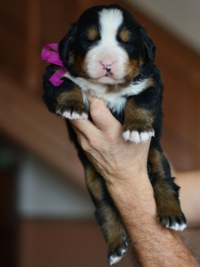 m violet 3 weeks