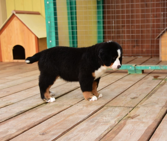 10 weeks 2