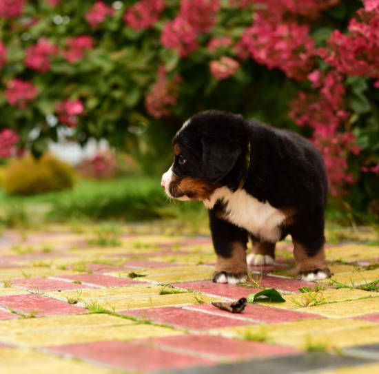 5 weeks 7