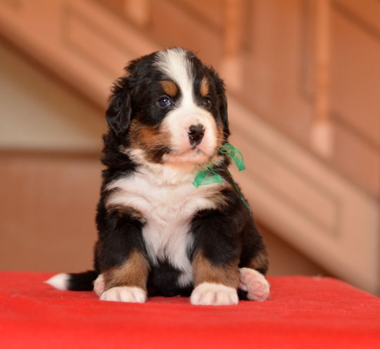 m green 4 weeks 2