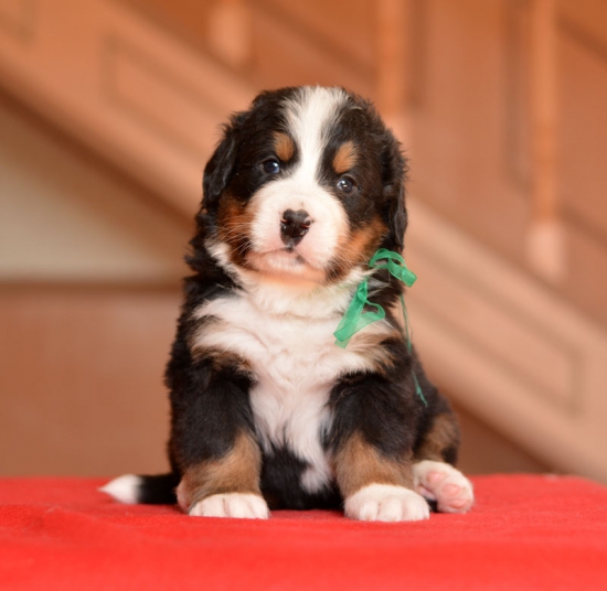 m green 4 weeks 3