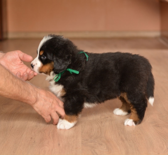 m green 5 weeks 3
