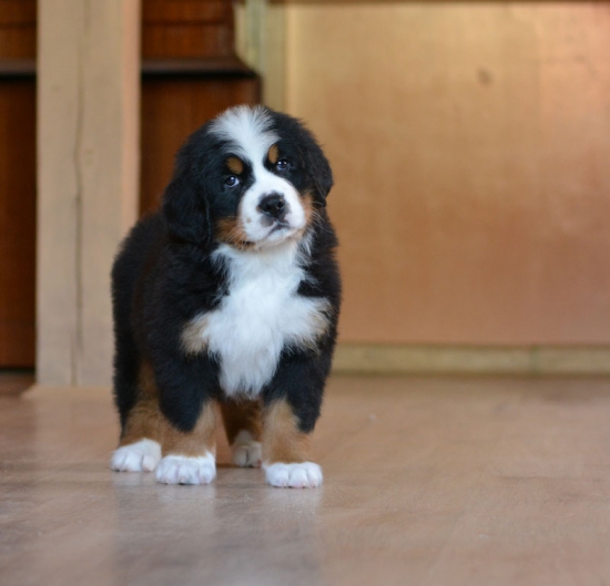 7 weeks 2