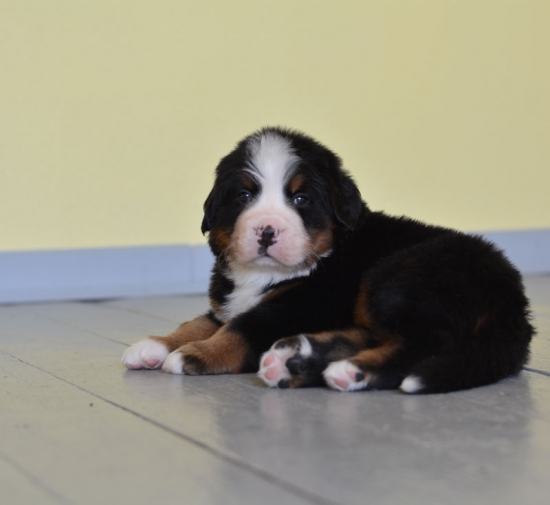 5 weeks 8