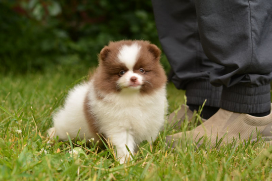 7 weeks 1