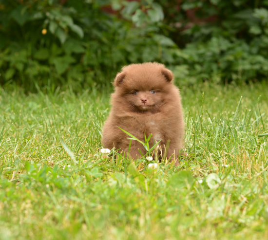 7 weeks 3