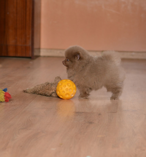 7 weeks 7