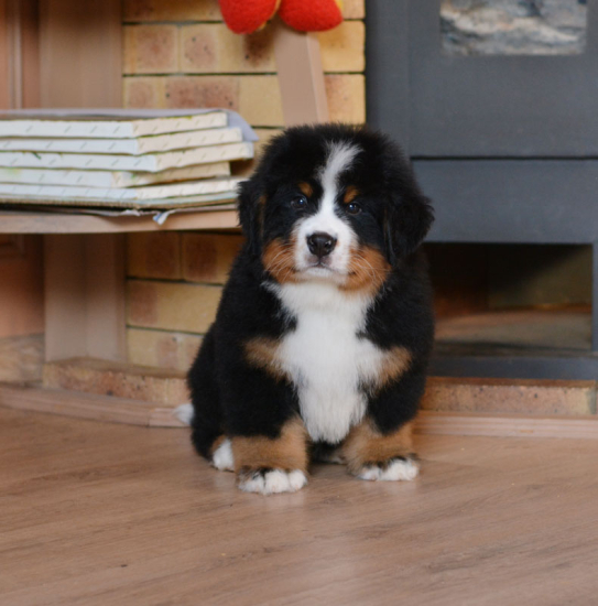 8 weeks 1