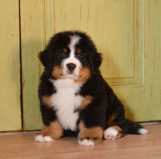 8 weeks 3