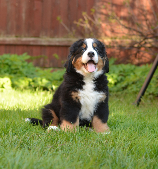 9 weeks
