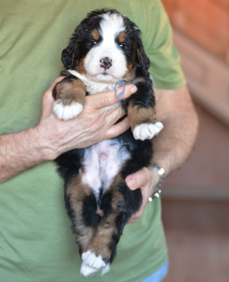 m blue 4 weeks 1