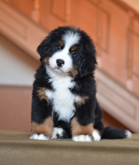 8 weeks 4