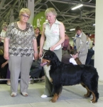 cacib 23 06 2012