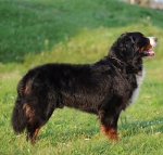 indevor 2years