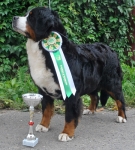 bob cacib 08 09 13 4