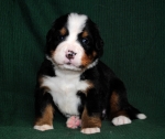 3weeks 1