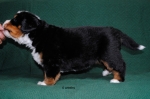 4weeks 1