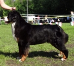 bob 2 years 1