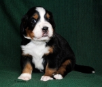 3weeks 5