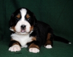 3weeks 8
