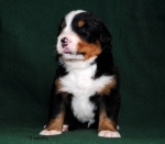 3weeks