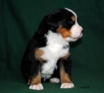 3weeks 2