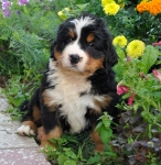 6weeks