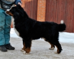 charly 14mon 3