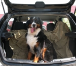 benefika car