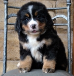 k green 7weeks