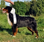 orinka 10 mon