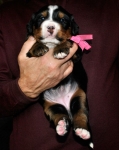 s pink 3weeks