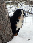 10 weeks 1