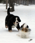 10 weeks 2