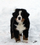 10 weeks 3