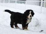 9 weeks 1