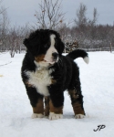 9 weeks 2