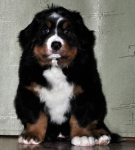 7 weeks 1