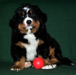 7 weeks 7