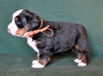 4weeks 3