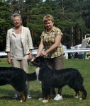 cacib vladimir