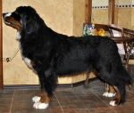 ezgevika 10m 6